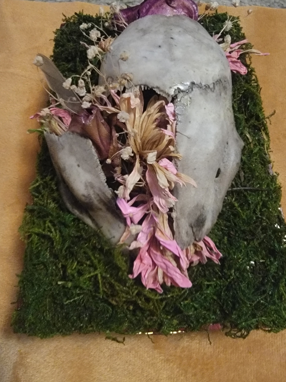 Decorative Skull Box with Dried Pink Flowers on Moss Base
